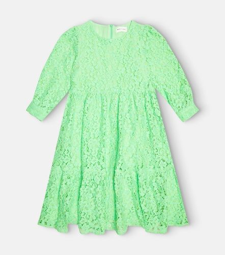 Robe Phoenix en coton mélangé et dentelle - Morley - Modalova