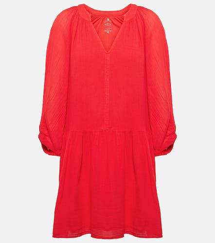 Velvet Robe Sloan en coton - Velvet - Modalova