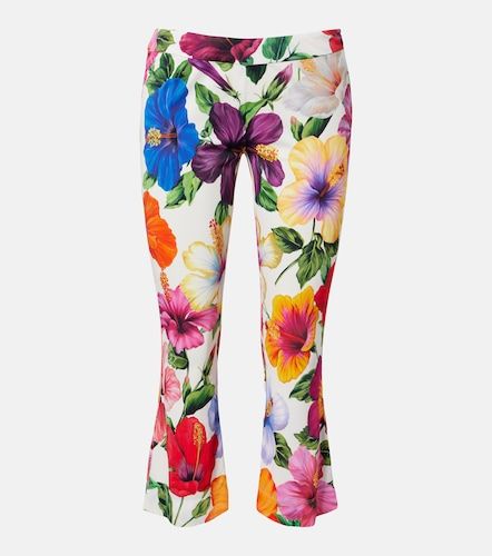 Pantalon capri à fleurs - Dolce&Gabbana - Modalova