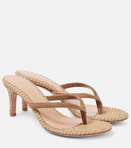Mules Calypso en daim - Gianvito Rossi - Modalova