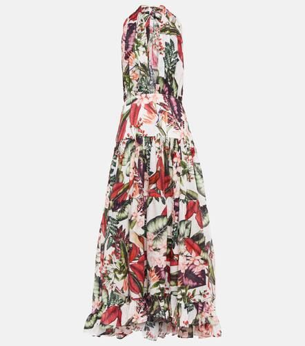 Robe midi Maria en coton à fleurs - Alexandra Miro - Modalova