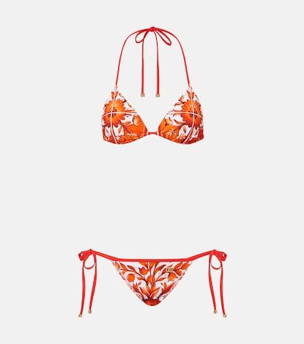 Dolce&Gabbana Bikini Majolica - Dolce&Gabbana - Modalova