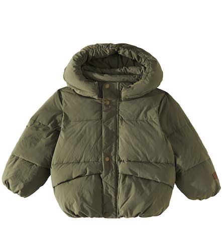 Molo Manteau Hayden - Molo - Modalova