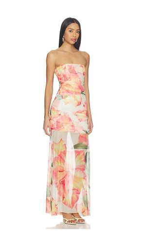 ROBE LEO en . Taille S. Also en XS, M, L - Amanda Uprichard - Modalova