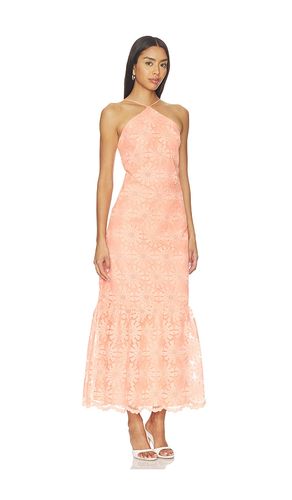 ROBE MAXI DARCEY en . Taille L. Also en M, S, XL, XS - Amanda Uprichard - Modalova