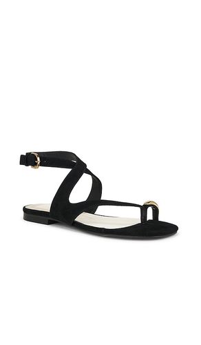 SANDALES EARLA en . Taille 6.5. Also en - Dolce Vita - Modalova