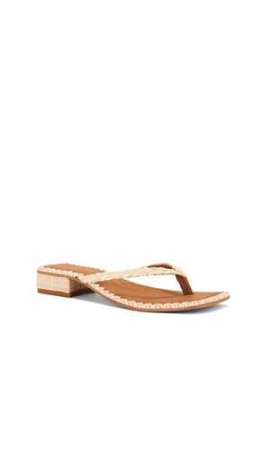SANDALES BARTY en . Taille 7. Also en 8, 8.5, 9 - Dolce Vita - Modalova