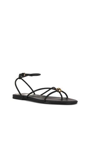 SANDALES KENLEY en . Taille 6.5. Also en 7, 7.5, 8, 8.5, 9 - Dolce Vita - Modalova