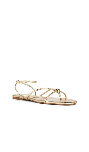 SANDALES KENLEY en . Taille 6.5. Also en 7.5 - Dolce Vita - Modalova