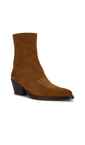BOTTINES KLYDE en . Taille 6. Also en 6.5, 7, 7.5, 8, 8.5, 9, 9.5, 10 - Dolce Vita - Modalova