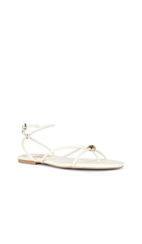 SANDALES KENLEY en . Taille 6. Also en 6.5, 7, 7.5, 8, 8.5, 9, 9.5, 10 - Dolce Vita - Modalova