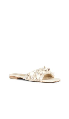 MULES PLATES LIZZA en . Taille 6. Also en 6.5, 10, 11 - Dolce Vita - Modalova
