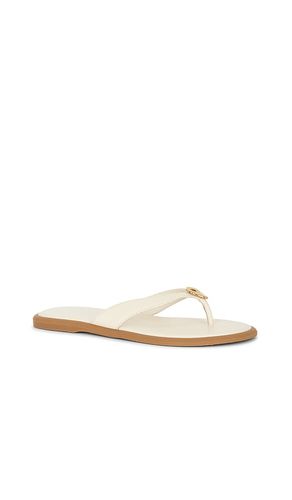 TONGS PLATES JAINA en . Taille 6. Also en 8.5, 9, 9.5 - Dolce Vita - Modalova