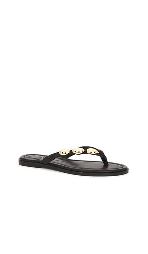 TONGS PLATES JUNY en . Taille 6. Also en 6.5, 7, 7.5, 8.5, 9 - Dolce Vita - Modalova