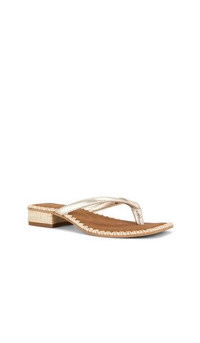 SANDALES BARTY en . Taille 6. Also en 6.5, 7 - Dolce Vita - Modalova
