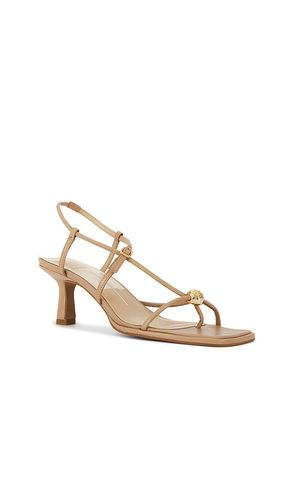 SANDALES MYLEE en . Taille 7. Also en 8, 9, 10 - Dolce Vita - Modalova