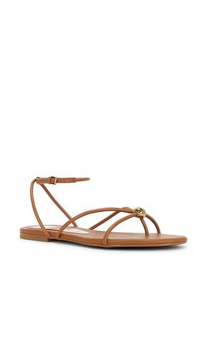 SANDALES KENLEY en . Taille 6.5. Also en 7.5, 8, 8.5, 9.5 - Dolce Vita - Modalova