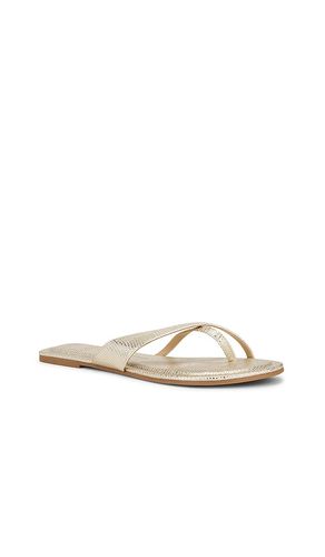 SANDALES TONG LENEX en . Taille 10. Also en 6, 6.5, 7, 7.5, 8, 8.5, 9, 9.5 - Dolce Vita - Modalova