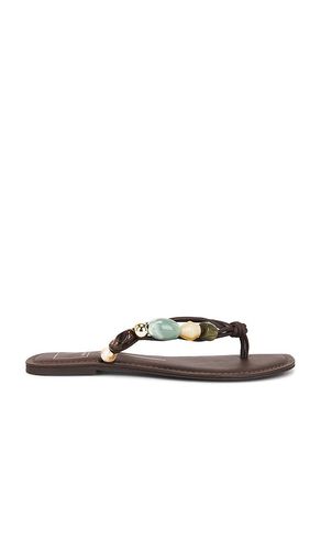 SANDALES CELY en . Taille 6. Also en - Dolce Vita - Modalova