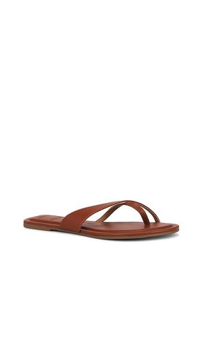 SANDALES TONG LENEX en . Taille 10. Also en 6, 6.5, 7, 7.5, 8, 8.5, 9, 9.5 - Dolce Vita - Modalova