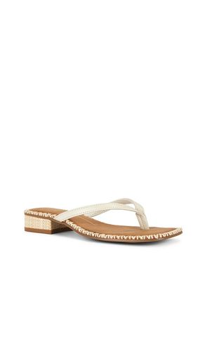 SANDALES TONG BARTY en . Taille 6. Also en 7.5, 8, 8.5, 10 - Dolce Vita - Modalova