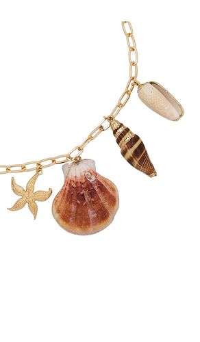COLLIER PRIVATE ISLAND ASSORTED SHELL en - Ettika - Modalova