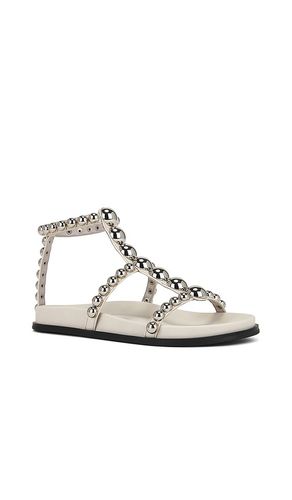 SANDALES MINNOW en . Taille 7. Also en 7.5 - Jeffrey Campbell - Modalova