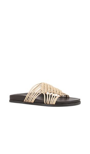 Plait Slides en . Taille 9. Also en 10 - Jeffrey Campbell - Modalova