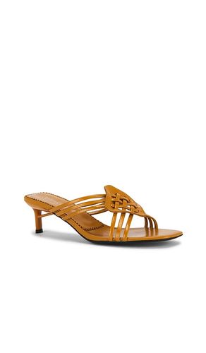 SANDALES AMENITY en . Taille 6. Also en 6.5, 7, 7.5, 8, 9, 10 - Jeffrey Campbell - Modalova