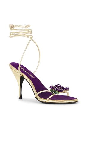 SANDALES KLEO en . Taille 6. Also en - Jeffrey Campbell - Modalova