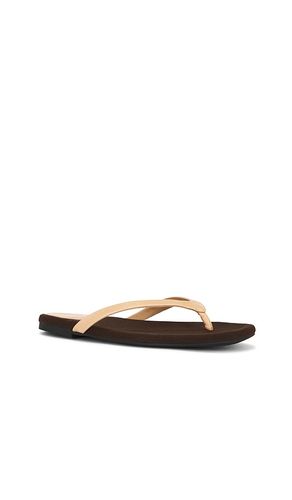 SANDALES KIERRA en . Taille 10. Also en 11, 6, 6.5, 7, 7.5, 8, 8.5, 9, 9.5 - Jeffrey Campbell - Modalova