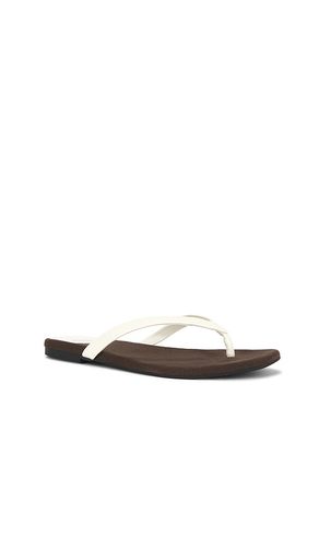 SANDALES KIERRA en ,. Taille 6. Also en 6.5, 7, 7.5, 8, 8.5, 9, 9.5, 10, 11 - Jeffrey Campbell - Modalova
