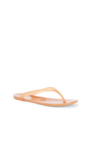 TONGS BEACH DAY en . Taille 6. Also en 7, 9, 10 - Jeffrey Campbell - Modalova