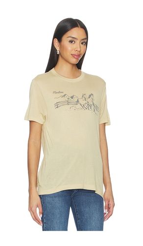 T-SHIRT GRAPHIQUE MONTANA HORSES THE VINTAGE TISSUE TEE en . Taille S. Also en - Junk Food - Modalova