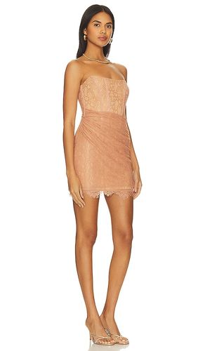 ROBE BELLADONNA en . Taille L. Also en XL - NBD - Modalova