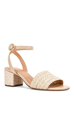 SANDALES NAVA en . Taille 6. Also en 6.5, 7, 7.5, 8, 8.5, 9, 10 - RAYE - Modalova