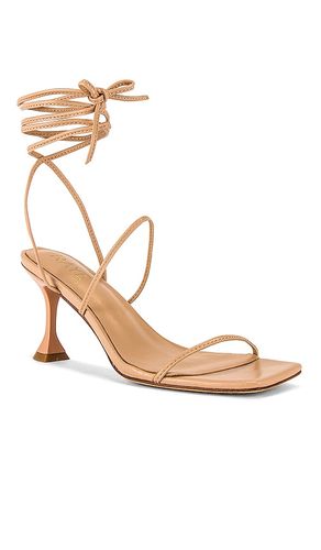ESCARPINS ROO en . Taille 5.5. Also en 6, 7, 7.5, 8, 8.5, 9, 10 - RAYE - Modalova