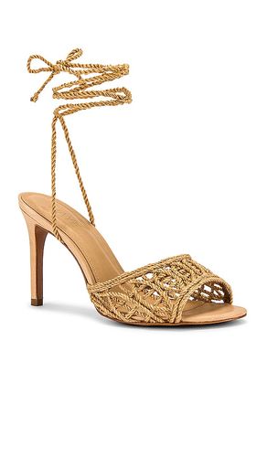 ESCARPINS PAULO en . Taille 6.5. Also en 7, 7.5, 8, 8.5, 9 - RAYE - Modalova
