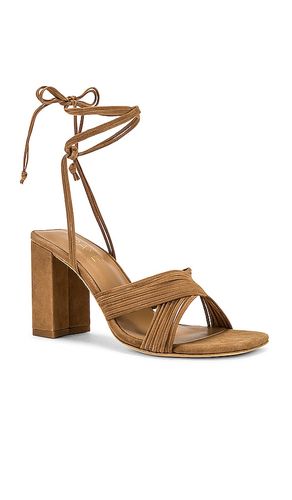ESCARPINS GIAN en . Taille 5.5. Also en 6, 7, 7.5, 8, 8.5, 9, 9.5, 10 - RAYE - Modalova