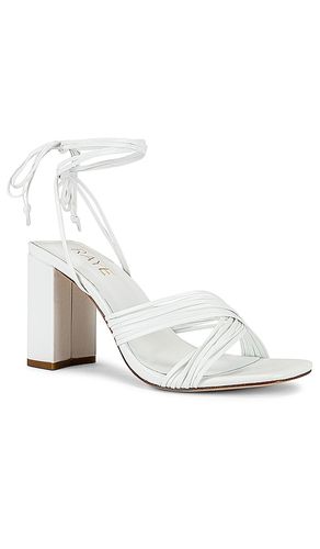 ESCARPINS GIAN en . Taille 5.5. Also en 6, 6.5, 7, 7.5, 8, 8.5, 9, 9.5 - RAYE - Modalova