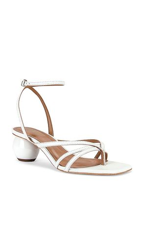 ESCARPINS HORIZON en . Taille 7. Also en - RAYE - Modalova