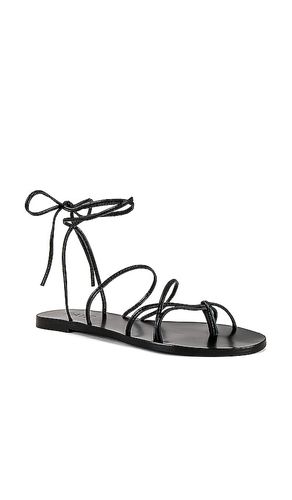 SANDALES SPUR en . Taille 6. Also en 9.5 - RAYE - Modalova