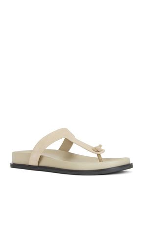 NU-PIED CHANNI en . Taille 8. Also en 9 - RAYE - Modalova