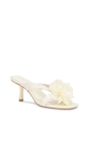 ESCARPINS FLOR en . Taille 6. Also en 6.5, 7, 7.5, 8, 8.5, 9, 9.5 - RAYE - Modalova