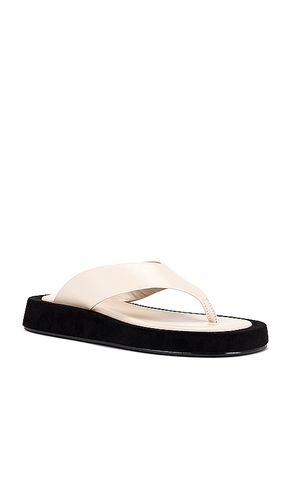 SANDALES CHRIS en . Taille 6. Also en 5, 8, 9 - RAYE - Modalova