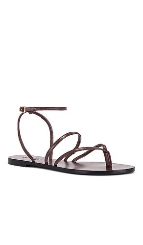 SANDALES VOID en . Taille 7. Also en 8 - RAYE - Modalova