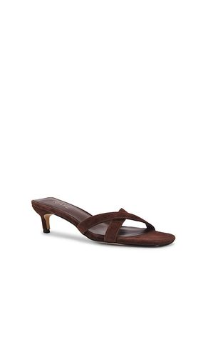 SANDALES SHEA en . Taille 7. Also en 8.5 - RAYE - Modalova