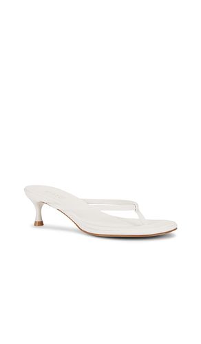 SANDALES KIMME en . Taille 6.5. Also en - RAYE - Modalova