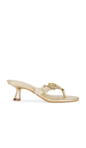 SANDALES ZOEY en . Taille 6. Also en - RAYE - Modalova