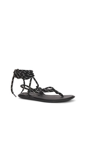 SANDALES LILLIE en . Taille 6. Also en 9 - RAYE - Modalova
